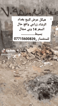 بغداد الرشاد • ٧٥م • ١ غرفة