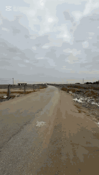 السـلام عليــكم
دار للبيــــع
زراعـي سند 25
المساحــه170م
العنوان🌏/ حله ورديه خارج شارع المشجر مقابل حي ابو طالب ع التبليط الرئيسي 
محتويات الدار⛺️/ غرفتين نوم استقبال ومطبخ وهول ومجمع صحيات وكراج سياره وحديقه
بيع سريــع وبسعر جداااا مناسب 😇 تسليم مباشر

الـــاــاـ ســتــفــســار اكـــثــــر زيـــارة مكـــــتب القـــــــلعـــة 
المـــكـــان حـــلـه ورديـــــه خــــارج قـــبــل مــجــمــع
الــوُرديــــه الطــبـــي…
مكـــــتب القـــــــلعـــة 
مـــريـــح و مــــضمــون ——
 ***********  ريـــاض الــبــكـري
‏‭0781 448 2411‬  قـــاســـم الــبــكــري
