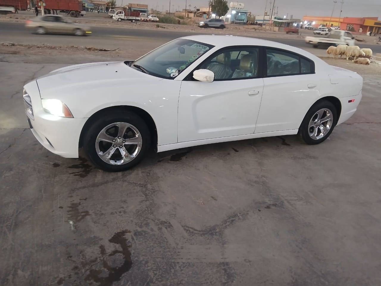 مكلف بالنشر   مراوس بجيب شمالي فقط سلام عليكم للبيع جارجر 2013 اربيل سنويه وهزه جديده  كير ماوس شاشه كبيره جاهزه حداديه خلفيه اماميه جديده تخم تاير سياره جاهزه مكفوله الاستفسار ***********
