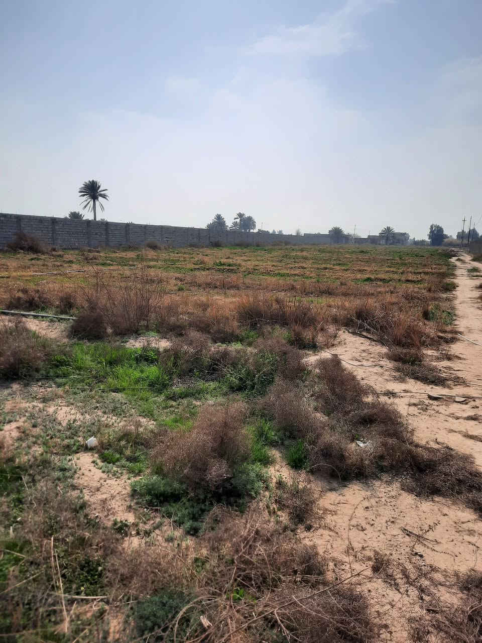 سلام عليكم ورحمة الله وبركاته قطعه الأرض للبيع المساحه 3 دوانم الاستفسار على هاذ رقم ***********
