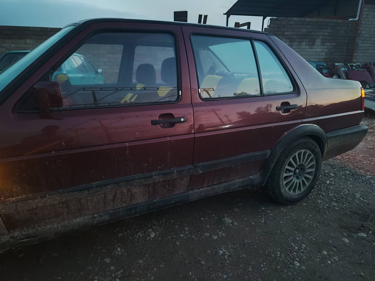 كولف جيتا للبيع سعر 39 مصبوغ عام
سنويه عظم الى 2029 

رقم الهاتف ***********
