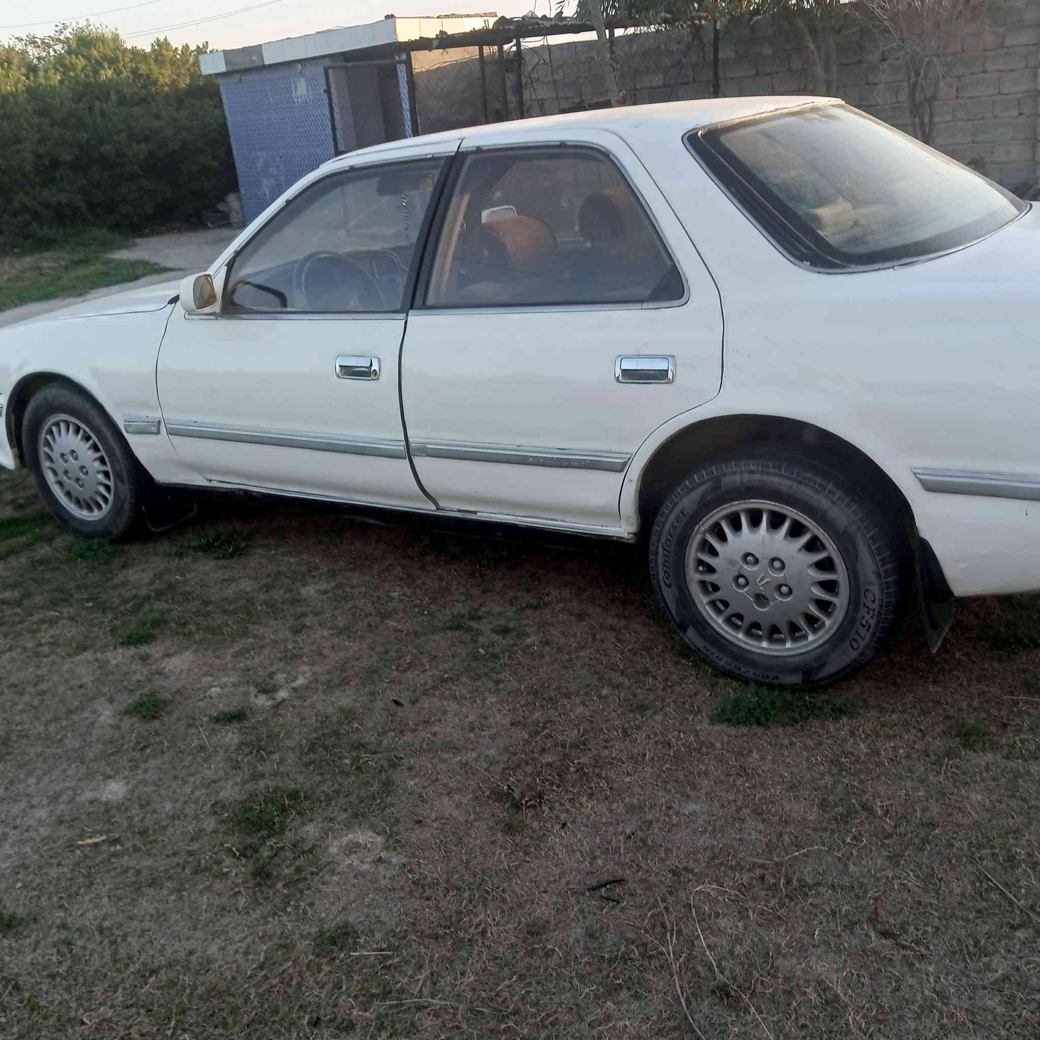 كرستا رقم صلاح الدين مشروع وطني داخلها نضيف كشرها نضيف سياره مرتبه محرك بطه صدرها  السعر ٣٠ بيها مجال  ***********
