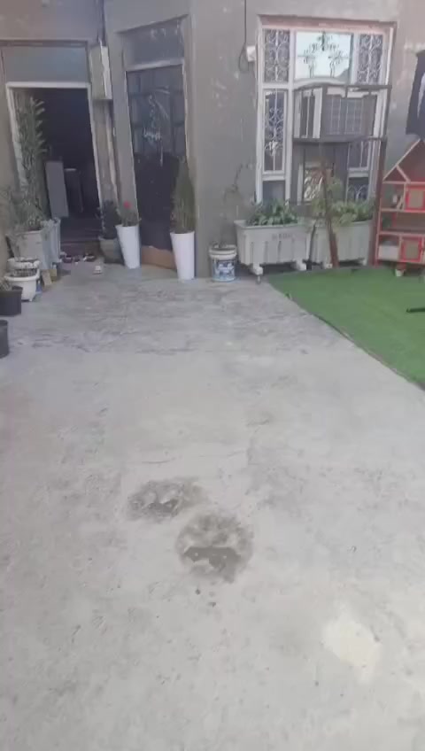 اسلام عليكم بيت للبيع المساحه 100متر واجهه 5نزال 20بيت بناء حديث نقص بي فقط كاشي خدمات كامله مي مجاري كهرباء تبليط نت العنوان الرئاسه مال عبيدي شارع عشرين شارع الساده للاستفسار الاتصال على الرقم ***********
