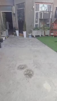 اسلام عليكم بيت للبيع المساحه 100متر واجهه 5نزال 20بيت بناء حديث نقص ب...