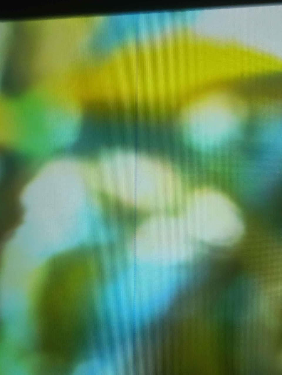 کامل ئەشیا بۆ فرۆشتن بۆیە هەرزان ئەیفرۆشم خەتێکی باریکی لەشاشەی هەیەبێکێشەیە بۆ بەکارهێنان سعری 55 هەزارە مواسەفات لەوێنەکانایە السليمانية, العراق


**إذا كنت صاحب هذا الإعلان وتريد حذفه لأي سبب، رجاءا أرسل رسالة إلى الدعم الفني**