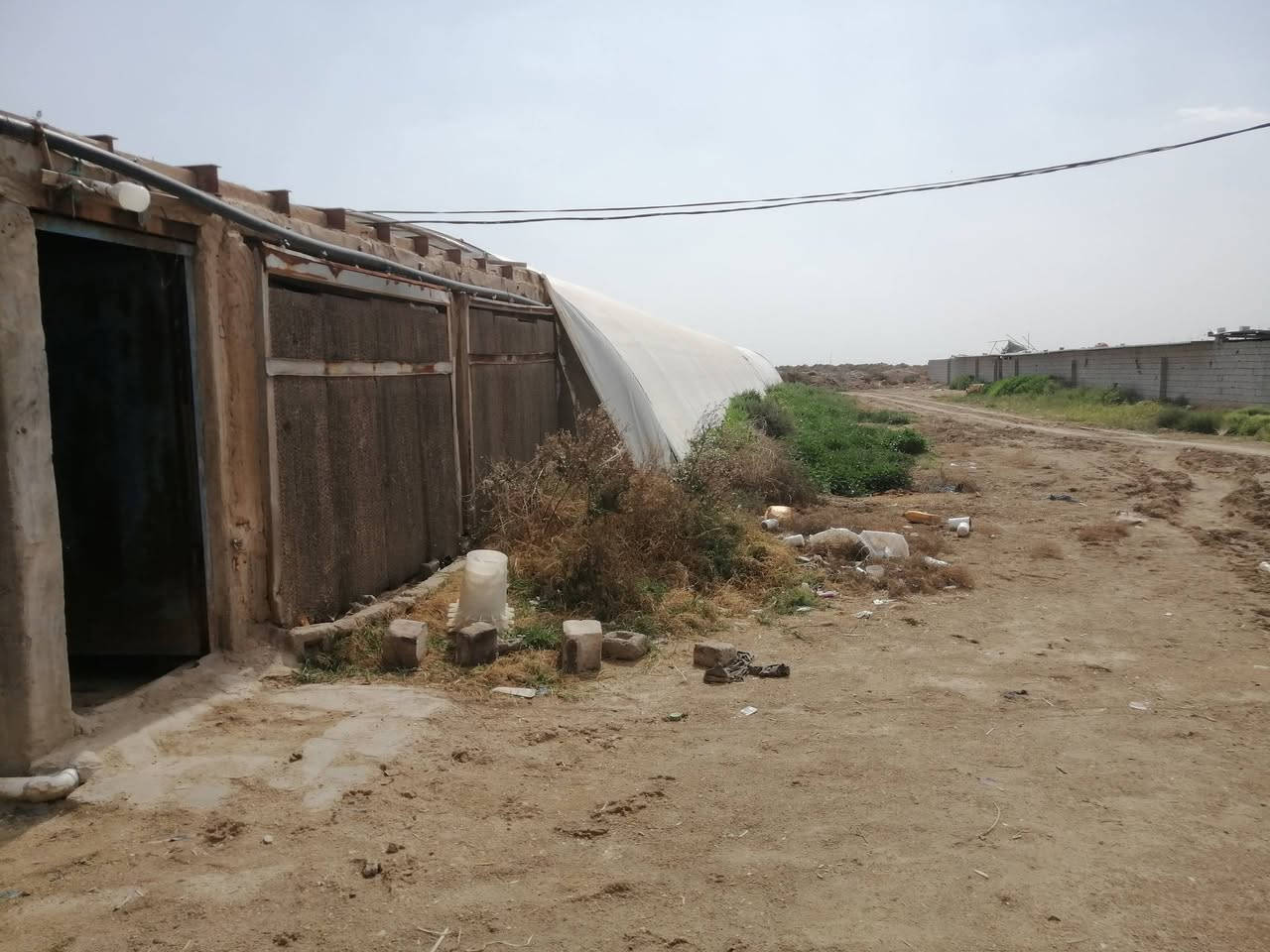سلام عليكم حقول دواجن عدد٢ بلاستك يشيلن ١٦٠٠٠الف وياهن محصار مال عجول وبيت وياهن مال عائلة مولدات عدد اثنين ومائ وكهرباء ومناهل ومعالف كاملة بس جيب افراخ سعرهن مناسب للاستفسار الاتصال على الرقم ***********مكانهن ناصرية
