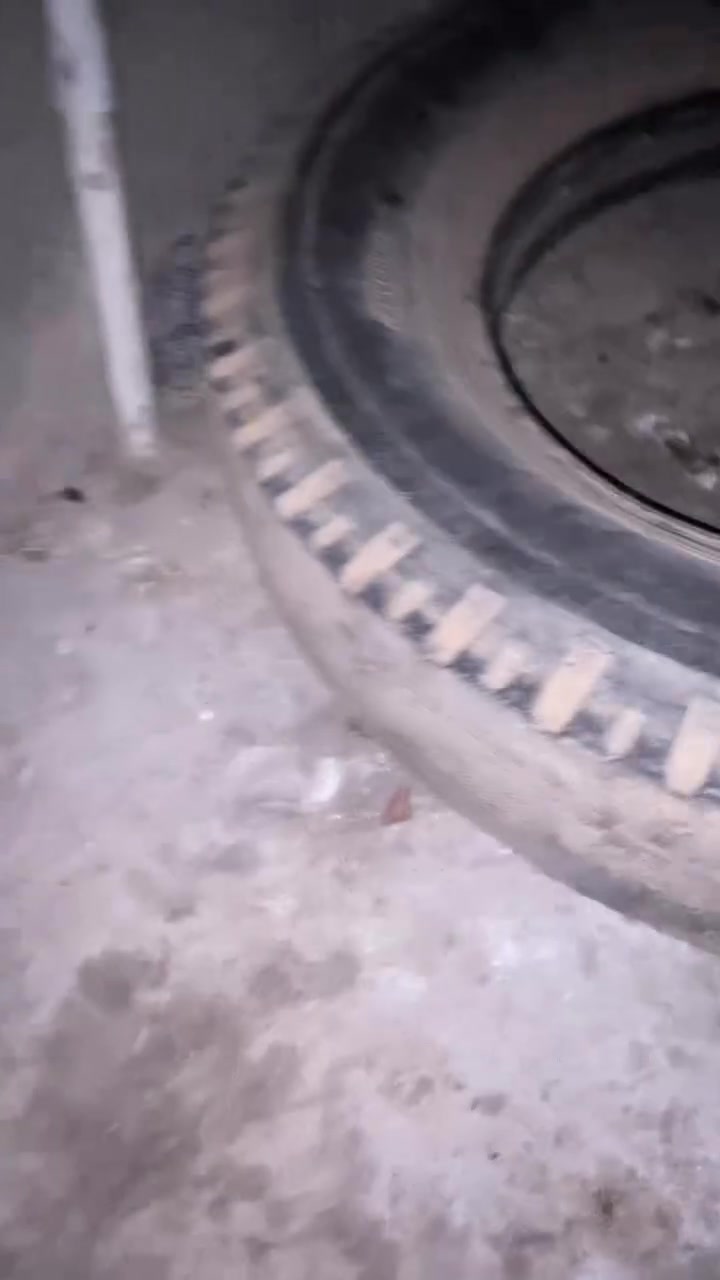 للبيع دجاج عنوان شارع بوري دجاج زوج 27مال ليت بيض بس كسبته


**إذا كنت صاحب هذا الإعلان وتريد حذفه لأي سبب، رجاءا أرسل رسالة إلى الدعم الفني**