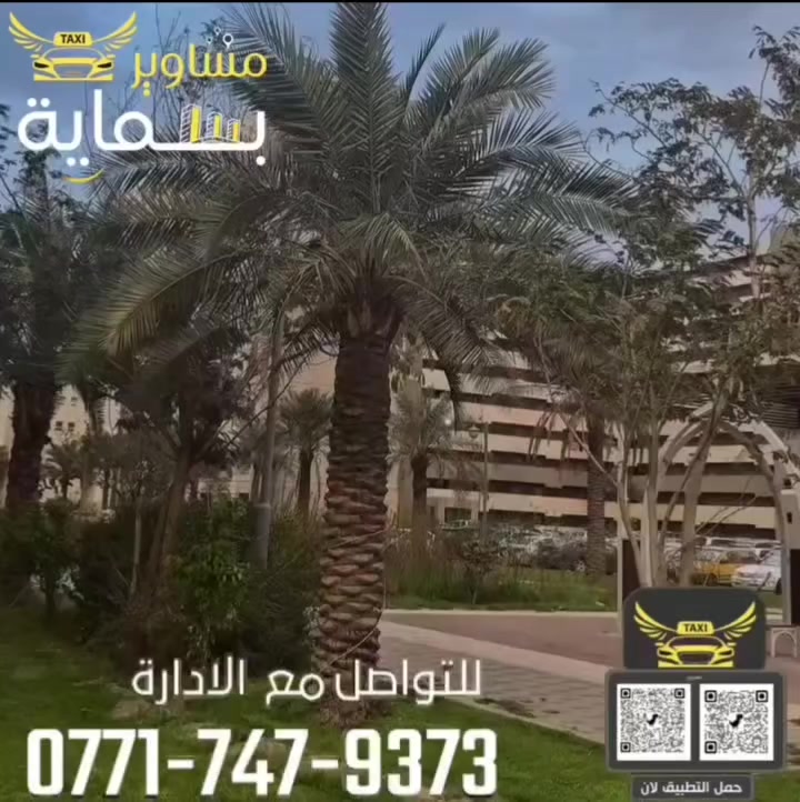 صباح الخير للجميع إنشاء الله
