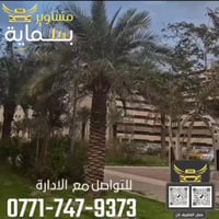 بسماية • خدمات