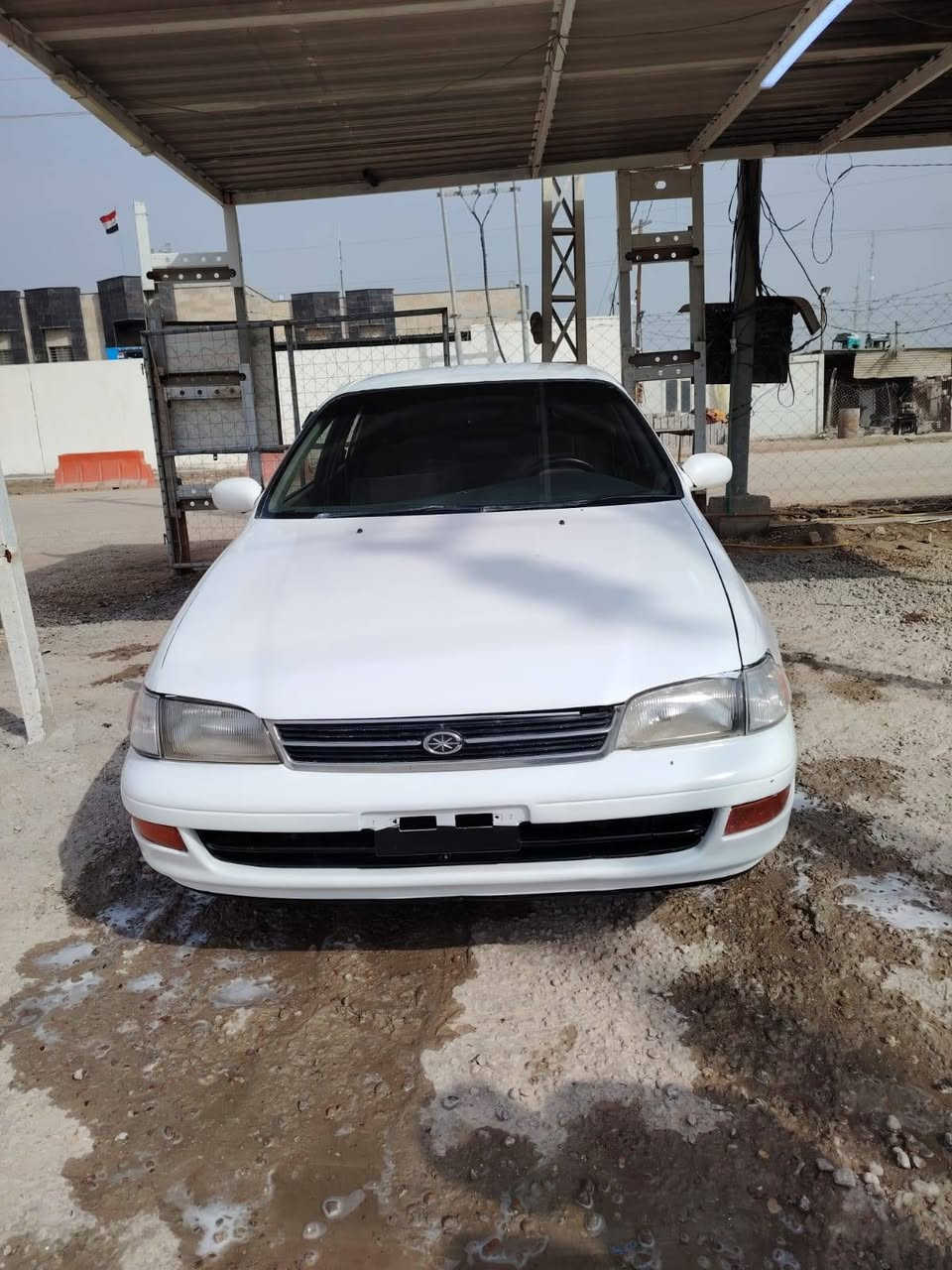 السلام عليكم  كرونا لبيع مستعجل على بعيته ***********
