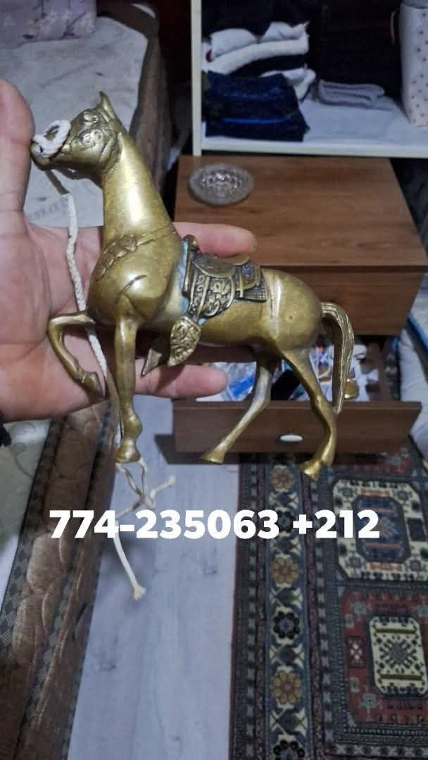 والسعر على الخاص على الواتس


**إذا كنت صاحب هذا الإعلان وتريد حذفه لأي سبب، رجاءا أرسل رسالة إلى الدعم الفني**