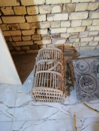 طباخ • قفص • عربانة