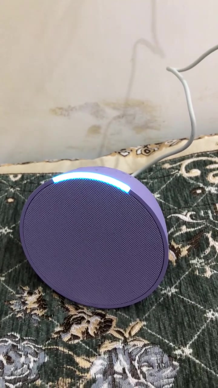 اليكسا للبيع  السعر قيم واخذ


**إذا كنت صاحب هذا الإعلان وتريد حذفه لأي سبب، رجاءا أرسل رسالة إلى الدعم الفني**