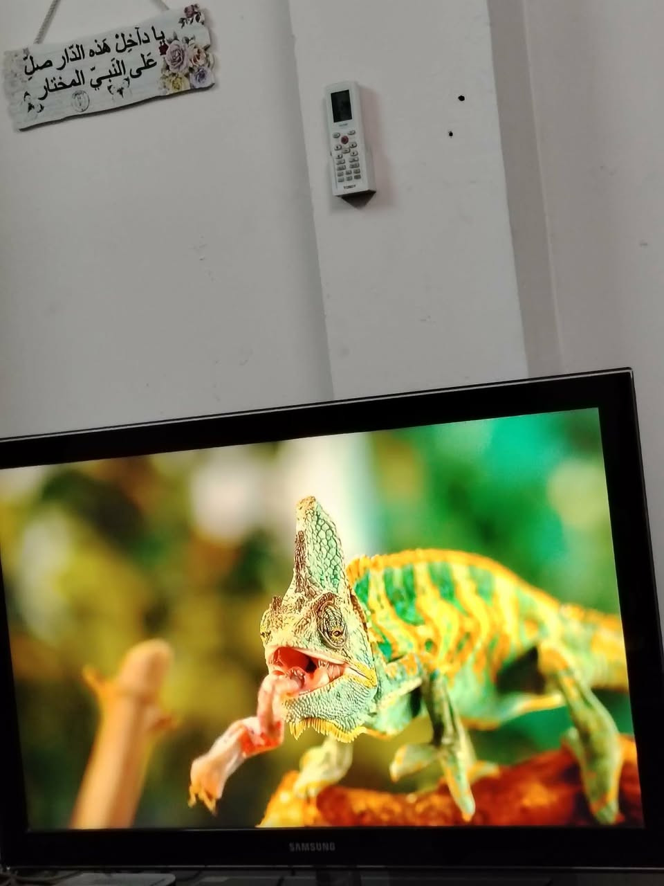 شاشة سامسونك حجم 40  سعرة 350


**إذا كنت صاحب هذا الإعلان وتريد حذفه لأي سبب، رجاءا أرسل رسالة إلى الدعم الفني**