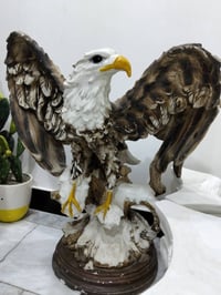 نسر كبير ٦٠سم • تمثال بوليستر ٦٥×٥٠ • بغداد الجديدة