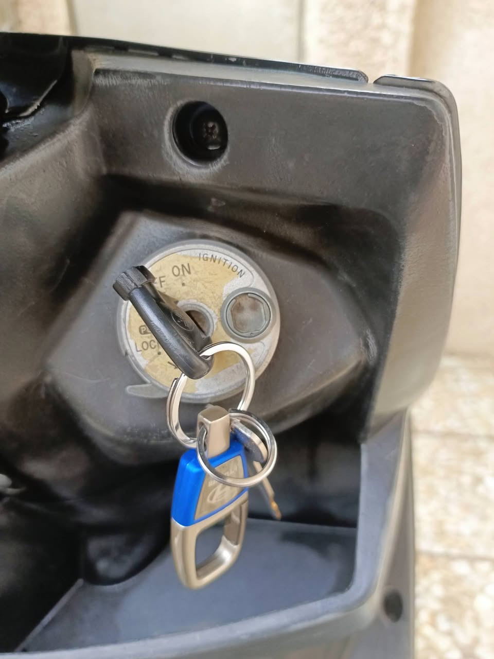 سكنس فحل نوزل خطين السعر 1500


**إذا كنت صاحب هذا الإعلان وتريد حذفه لأي سبب، رجاءا أرسل رسالة إلى الدعم الفني**