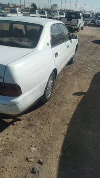 عددندي بطه البيع او مراوس ابريجو ٠٧٧٤١٢٦٣٥٧٨