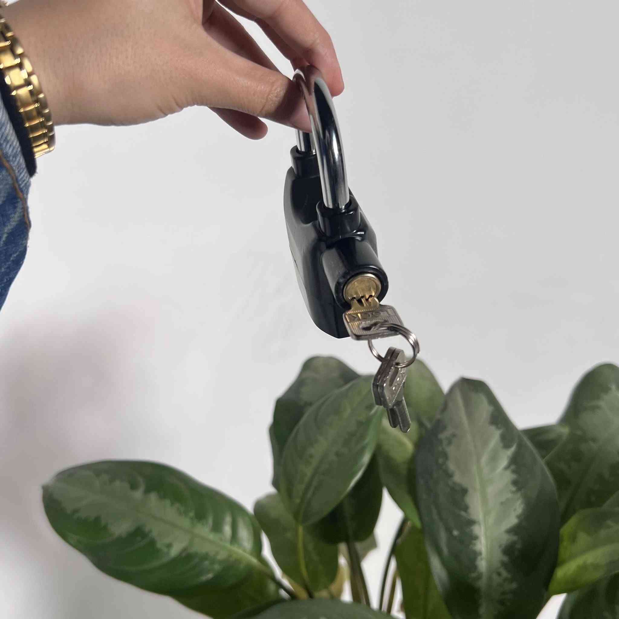 قفل انذار متعدد الاستخدامات 

6 الف


**إذا كنت صاحب هذا الإعلان وتريد حذفه لأي سبب، رجاءا أرسل رسالة إلى الدعم الفني**