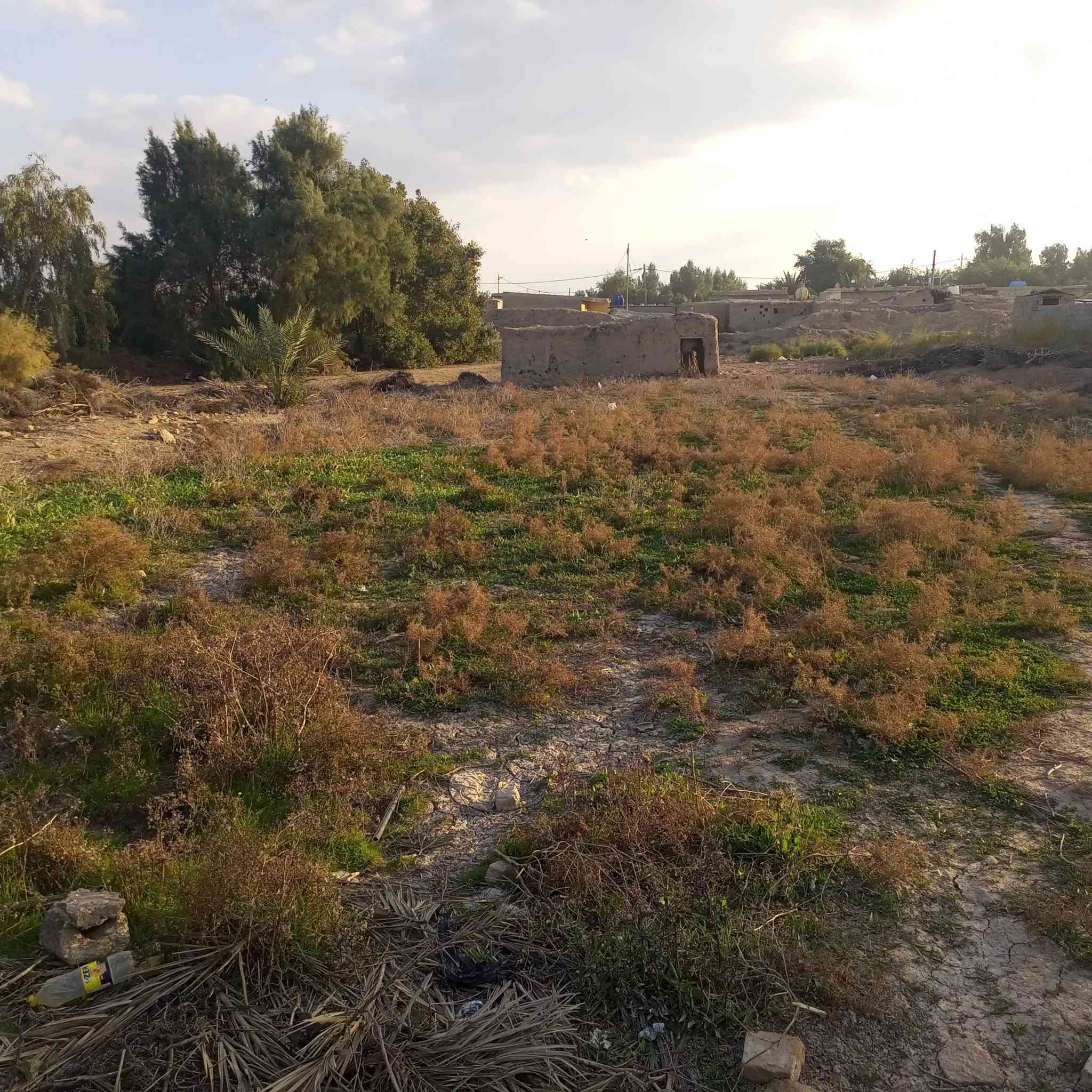 دار كبيره مع قطعة ارض للبيع
توجد جميع الخدمات ماء كهرباء تبليط مدرسه بتدائيه وثانويه قريبه وبسعر مميز زراعي علماً ان القطعه يمكنك بناء 4الى 5 منازل كبيره 

المكان الاحرار المزاك قرية الزهراء 

للتواصل ***********
