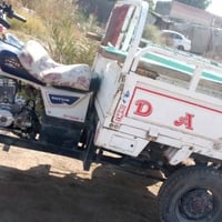 ستوته • مديل 15 • اوراق