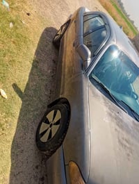 سوناته ٩٣ • بلادية • الدجيل