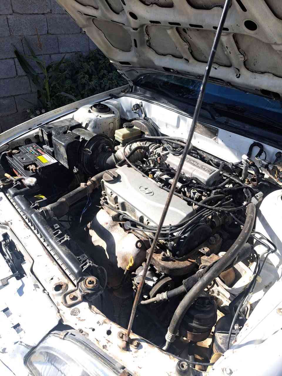 السلام عليكم سوناتا تو موديل1994
رقم بغداد انكليزي باسمي ثاني يوم تحويل هزة الى الشهر التاسع  مكفولة 
من كير محرك كهربائيات
كلهة شغالة شرط التحويل
سعر 42وبيه مجال
مكان بغداد الدورة للاستفسار الاتصال على الرقم
***********
