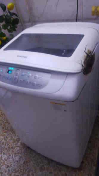 السلام عليكم عندي غسالة سامسونك شغالة سعرها ١٣٥ الف عنوان بلديات ٩نيسان موبايل ***********
