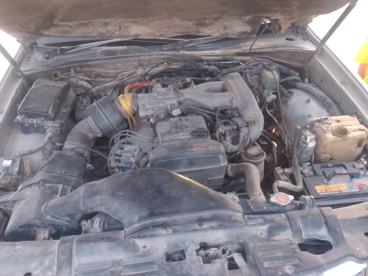 سلام عليكم سياره بطه متصل للبيع مكفوله كفاله عامه من نقل وكصه بس صبغ عام جماليه موديل 94 سنويتهه نهايتهه 28 مشروع وطني رقم الانبار بسم راعيهه مداور ثاني يوم مكان كربلاء السعر 56وبيهه مجال رقم صاحب السياره ***********
