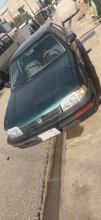 هونداء • كركوك