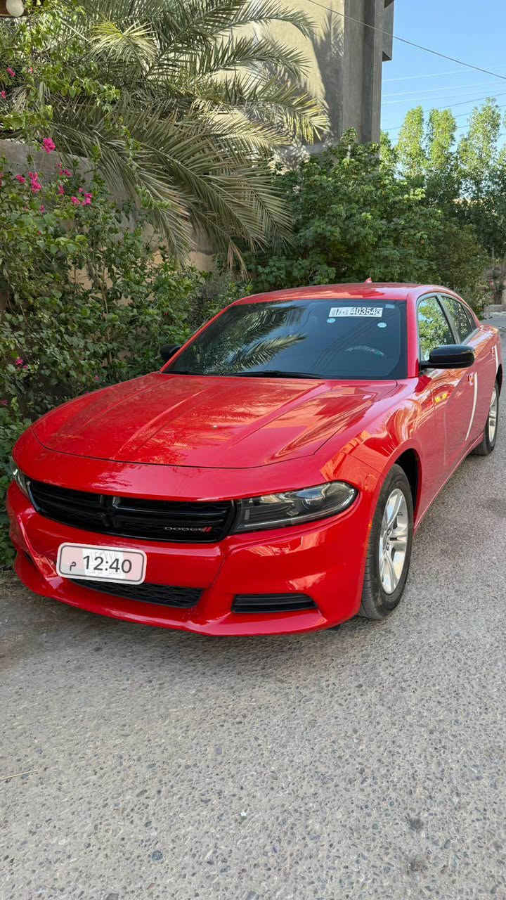 جارجر ٢٠٢٣ رقم بصره بااسمي ترقيم جديد ماشيه ٢٥ ميلsxt/شاشه كبيره وتشغيل عن بعد /بحاله الزيرو مابيه اي نقص وارد امريكي تقرير غرق بدون اي نسبه مامفتوح بيها اي شي وماواصل التقرير اي شي بالسياره يعني بحاله الوكاله لون مميز طماطه / السعر ٢٧٥ ورقه مو شراي لا تخابر وسولف/ العنوان البصره الزبير/ اكرر واعيد مو شراي لا تخابر لان مافارغ/077 الزبير, البصرة


**إذا كنت صاحب هذا الإعلان وتريد حذفه لأي سبب، رجاءا أرسل رسالة إلى الدعم الفني**