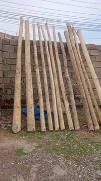 / مدود للبيع العدد ١٢  الطول 4 ونص انضاف حيل للإستفسار/ 07806776530