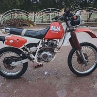 07813737787