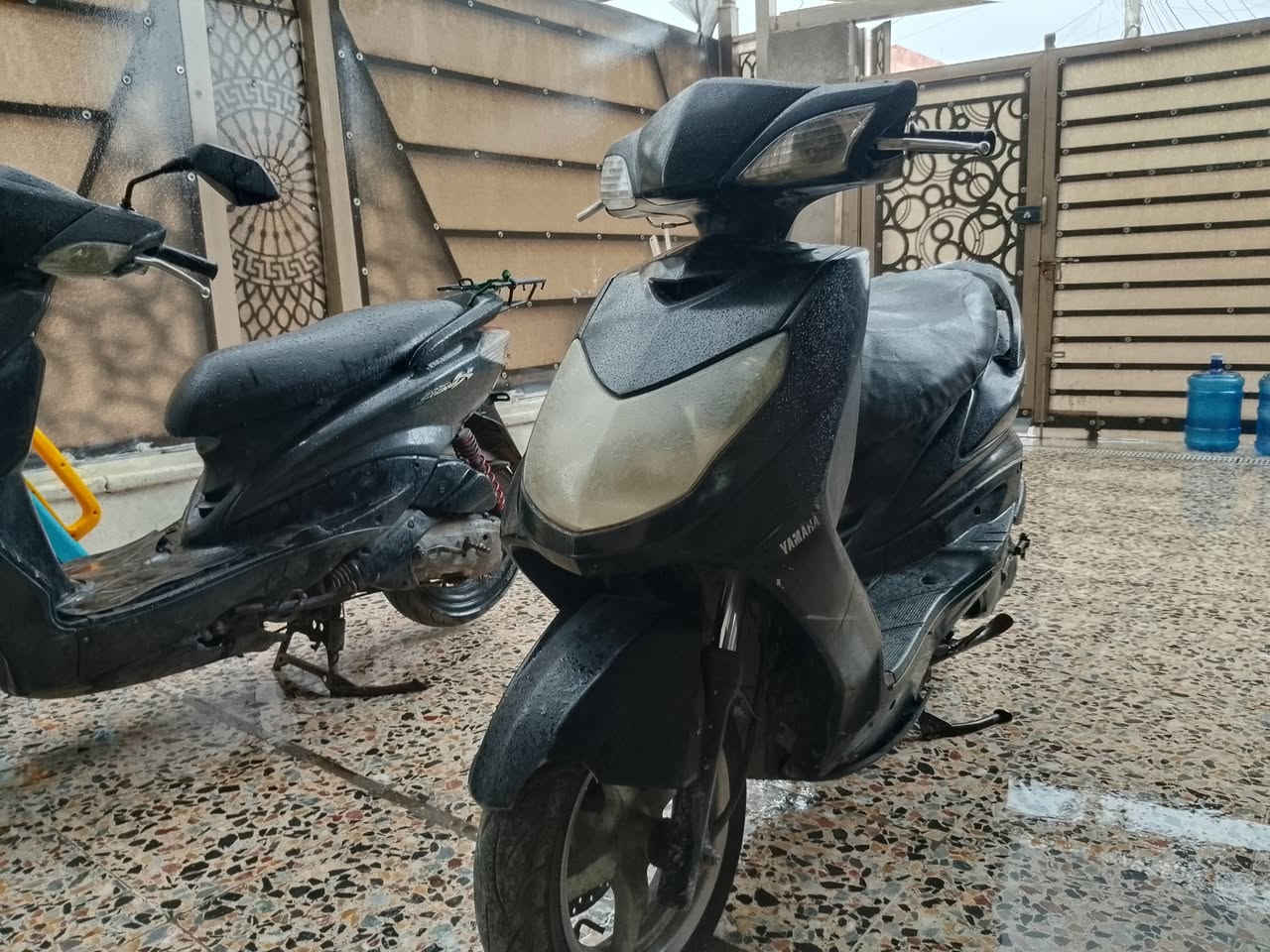 سكنس فحل كوري نضيفه كلشي كامل بغداد البلديات ***********.      سعر ٤٥٠
