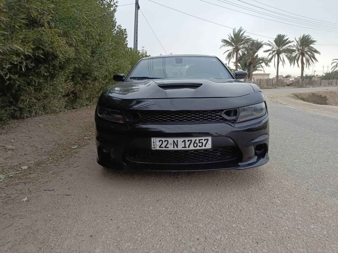 جارجار 2023بيع أو مراوس بسمي الشراي يتصل على رقم ***********
