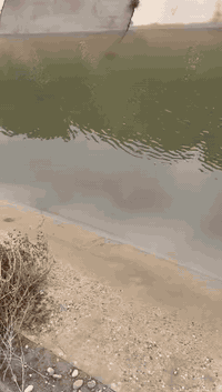 ارض زراعيه في النباعي جزيرة الكرمه 
لارض تبعد عن مستودعات المشاهدة 5 كيلو وعن طريق التاجي العام نص ساعه المساحه 120 دونم مباشرتا مع سور بغداد انبار لارض يمتد وياها نهر صب مي حلو او واصلها كهرباء ومحفور بيها بيرين بير ارتوازي وبير جمه سعر الدونم  1.500 مليون ونص  لاستفسار 
***********
***********
***********
