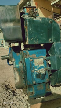 مولدة • هندي • ١٠ حصان