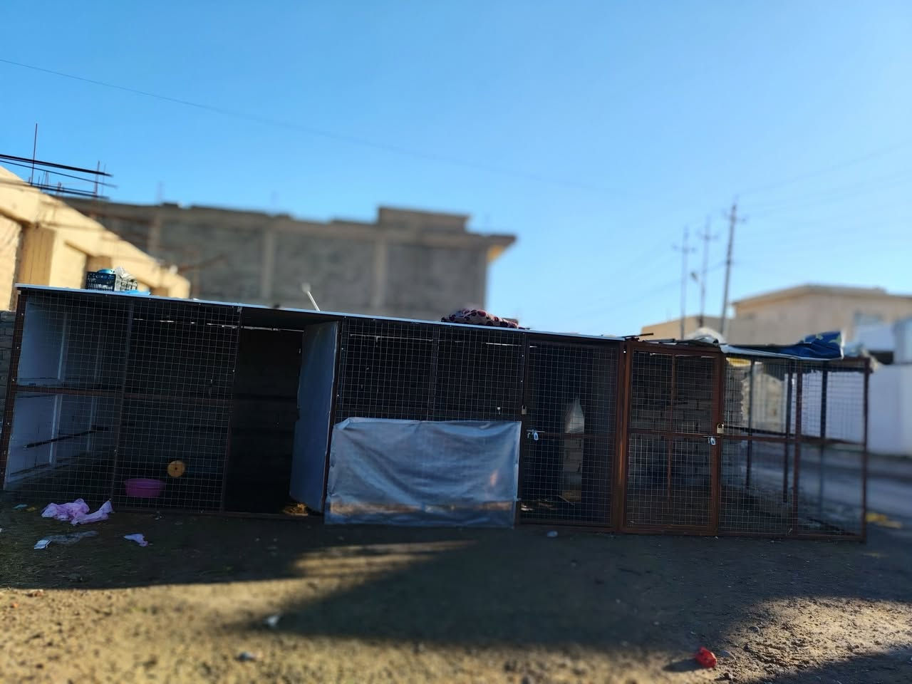 يوجد قفص للبيع قرب مطعم الزيتون
وجه القفص تسعه امتار وارتفاع مترين والعرض ثلاثه امتار
شغل فول الاستفسار على الرقم ***********
