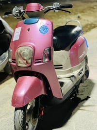 ماكس بوليس • وردي • نضيفه