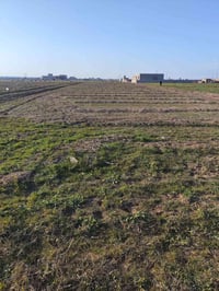 سايدين البكارة • دونم • ٦٠٠م عن الشارع