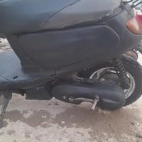 شغاله • نضيفه • ناصريه