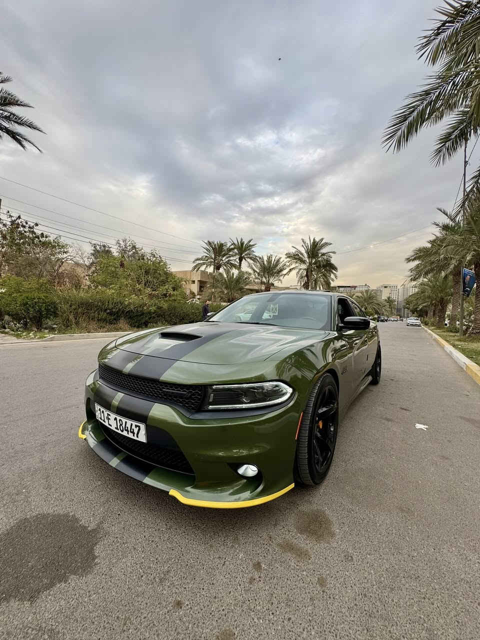 السلام عليكم 
قطعه نادره بلون مميز زيتوني وفتحة سقف 
جارجر(  Rt ) مكينه( ٥٧٠٠) رقم بغداد الدولي الجديد 
مديل (٢٠٢٢)ماشيه( ٣٥٠٠٠ml)
وارد امريكي كلين بدون حادث مكفوله من الضربه ولصبغ ( فقط بارد ٤ اصابع بلجاملغ الامامي وشخط بلباب الخلفيه اثر طخة دراجه )
مواصفات السياره :-
١- فجوج برومبو بلادي
٢- فتحة سقف
٣- لايت زينون 
٤- سماعات ماركة lbain
٥- عليهه برمجة مصطفى ايكل سيفيتي واستخدام يومي يعني حماوه انساهه وصرف وقود قليل 
٦- عليهه دون بايب من علي الوادي ودبات سود صوت االكزوز يخبل 
٧- عليهه تخم ويل وتاير جديد تو سايز
٨- عليهه دبلات ولويات Srt 

مكاني بغداد / السيديه 
رقم التلفون /*********** 
السعر /  ٣٤٠ ورقه
