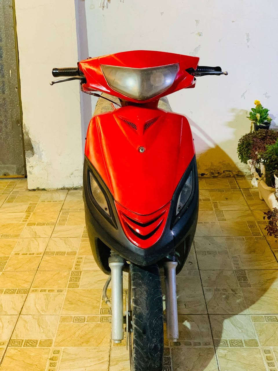 ماكس ثعلب 
شلعه ومعدل ونعومه 
السعر/300
حله مركز 
***********
