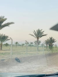 الدوانم الكرخ • من دونم • طابو زراعي