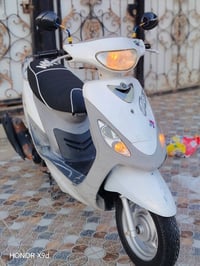 ماكس منغولي • مفتوح • مشي شرط