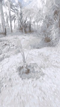 بستان • ١٨٠٠م • سديناويه الكناهره