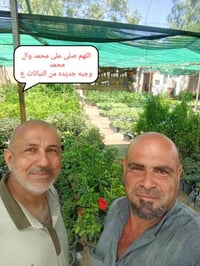 مشتل الجمعيه • نباتات خارجية • توصيل الدجيل