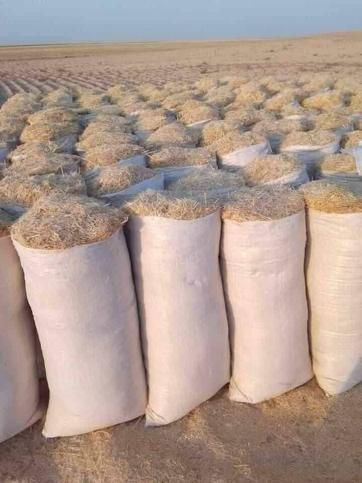 السلام عليكم تبن لبيع بنسب لسعار لرايد تبن يتصل *********** وتوصيل لباب بيتك وددلل  وذا كميه
