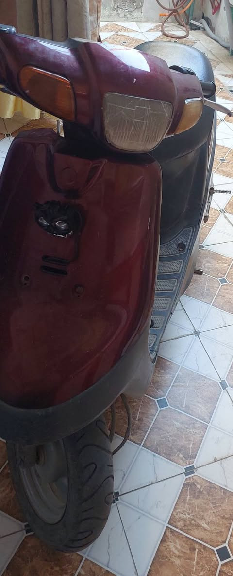 بتره للبيع اول مره تنفتح البارحه كملت تجفيت بوشه وبستم قبق الهندر والكير ما مفتوح شرط على الابلاد وياها كفر اصلي نفس اللون ماروني سعره ب ٢٥٠ الف ناصريه المركز


**إذا كنت صاحب هذا الإعلان وتريد حذفه لأي سبب، رجاءا أرسل رسالة إلى الدعم الفني**