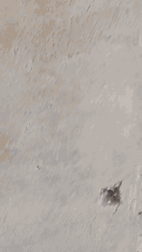 ابو حسين السوري لباخ سمنت داخلي خارجي مصاطر ناعم تشميع جرارة طلس نثر تصفير ارضيات  مسابح ***********
