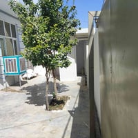 حي الاطفاء جلولاء • ٢٠٠م • ٣ غرف